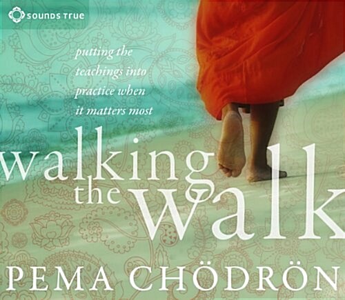 Walking the Walk: Putting the Teachings Into Practice When It Matters Most (Audio CD)