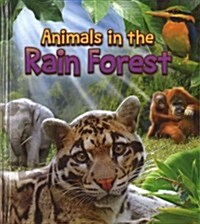 Animals in the Rain Forest (Library Binding)