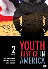 Youth Justice in America (Paperback, 2)