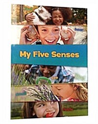 My Five Senses (Paperback)