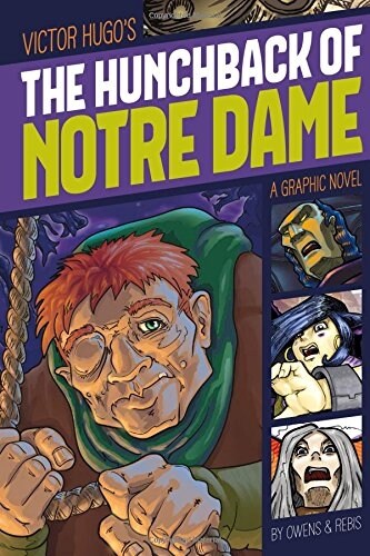 The Hunchback of Notre Dame: A Graphic Novel (Paperback)