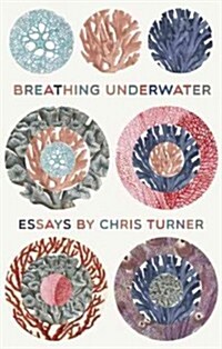 How to Breathe Underwater: Field Reports from an Age of Radical Change (Paperback)