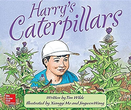 Gear Up, Harrys Caterpillars, Grade 2, Single Copy (Paperback)