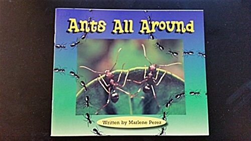 Ants All Around (Paperback)