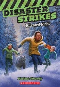 Blizzard Night (Paperback)