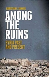 Among the Ruins: Syria Past and Present (Hardcover)