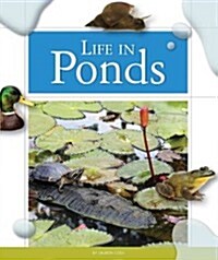 Life in Ponds (Library Binding)