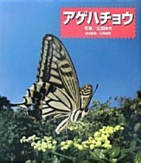 アゲハチョウ (大型本)