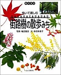 街の休日 步いて親しむ街路樹の散步みち (大型本)