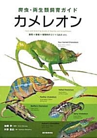 爬蟲·兩生類飼育ガイド カメレオン―飼育+繁殖+種類別のコツ+Q&A etc. (單行本)