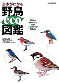 基本がわかる野鳥eco圖鑑―野鳥がわかると命のつながりが見える (單行本)