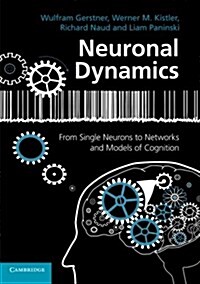 Neuronal Dynamics : From Single Neurons to Networks and Models of Cognition (Paperback)