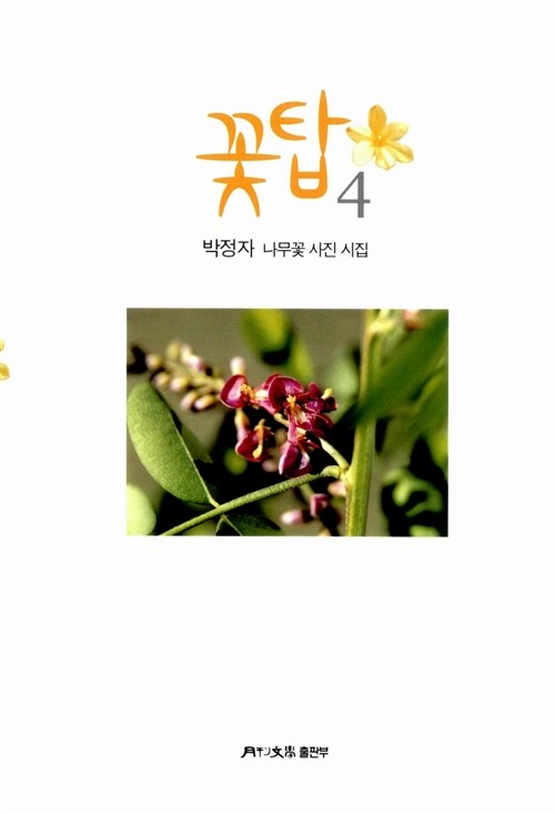 꽃탑 : 박정자 나무꽃 사진 시집. 4 표지이미지