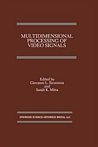 Multidimensional Processing of Video Signals (Paperback, Softcover Repri)