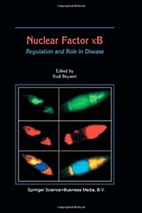 Nuclear Factor кb: Regulation and Role in Disease (Paperback, 2003)