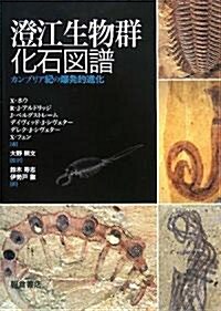 澄江生物群化石圖譜―カンブリア紀の爆發的進化 (大型本)