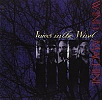 [중고] VOICES IN THE WIND