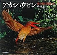 アカショウビン―火の鳥に出會った (日本の野鳥) (大型本)