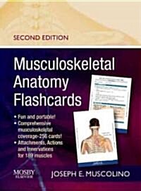 Musculoskeletal Anatomy Flashcards (Other, 2)