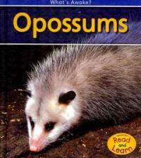 Opossums (Library Binding, 2)