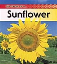 Sunflower (Paperback, Revised, Update)