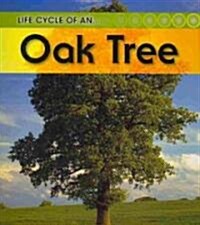 Oak Tree (Paperback, Revised, Update)