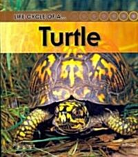Turtle (Paperback, Revised, Update)