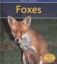 Foxes (Library Binding)