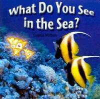 What Do You See in the Sea? (Board Books)