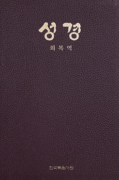 [중고] [자주] 회복역 성경 - 무각주.색인.지주