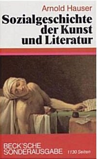 Sozialgeschichte der Kunst und Literatur (Hardcover)