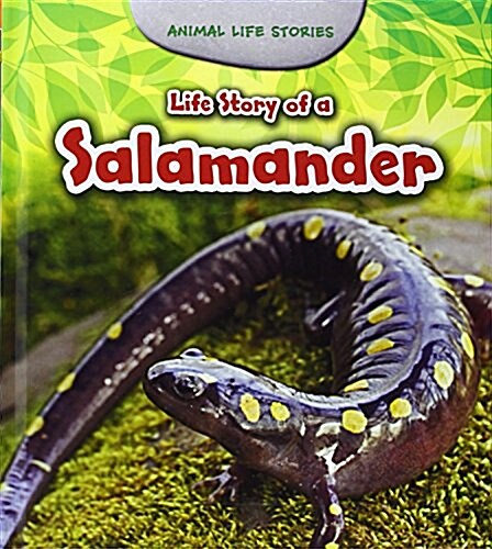 Life Story of a Salamander (Hardcover)