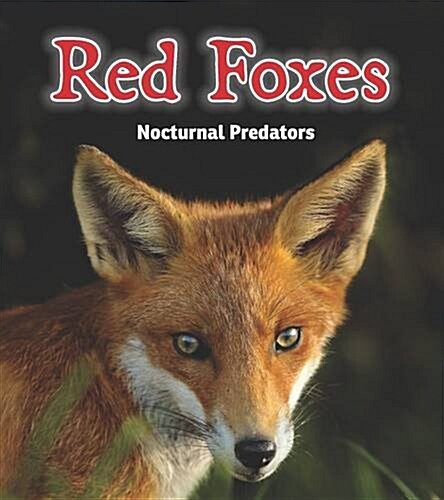 Red Foxes : Nocturnal Predators (Hardcover)