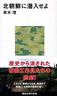 北朝鮮に潛入せよ (講談社現代新書) (新書)