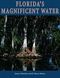 Floridas Magnificent Water (Paperback)