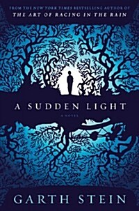 A Sudden Light (Hardcover)