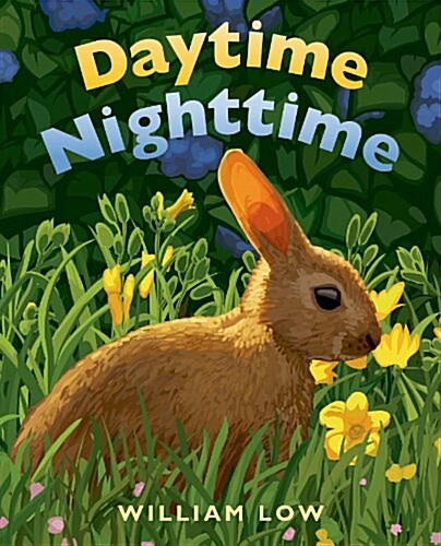 Daytime Nighttime (Board Books)