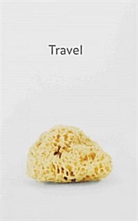 Haim Steinbach - Travel (Paperback)