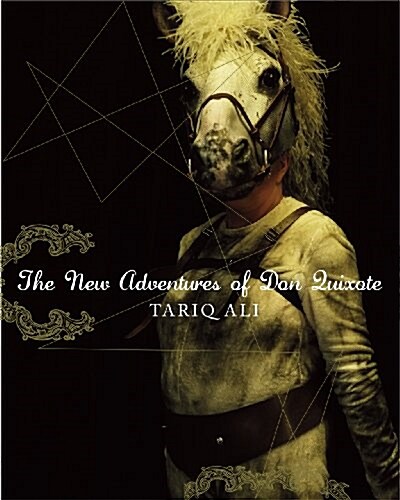 The New Adventures of Don Quixote (Hardcover)