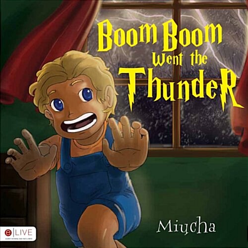 Boom Boom Went the Thunder (Paperback)