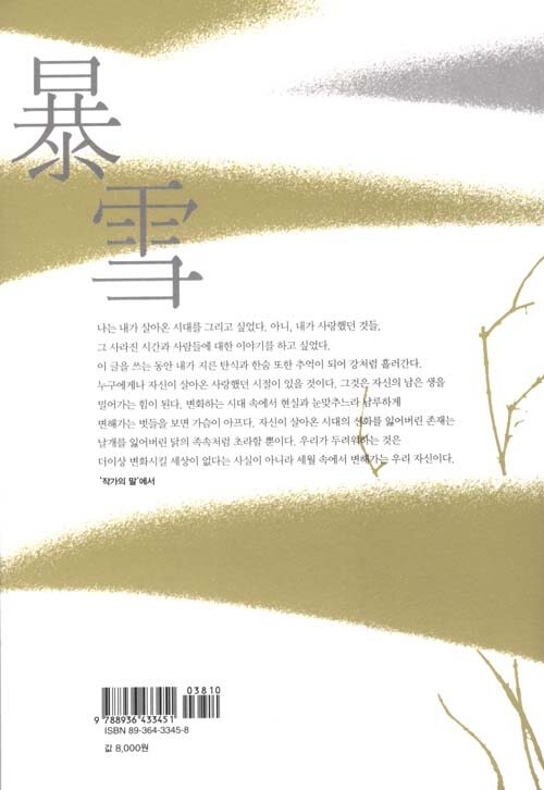 폭설 : 김영현 장편소설