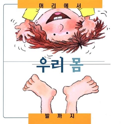 우리 몸, 머리에서 발까지