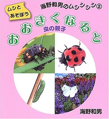 おおきくなると―蟲の親子 (ムシとあそぼう海野和男のムシシシシ) (單行本)