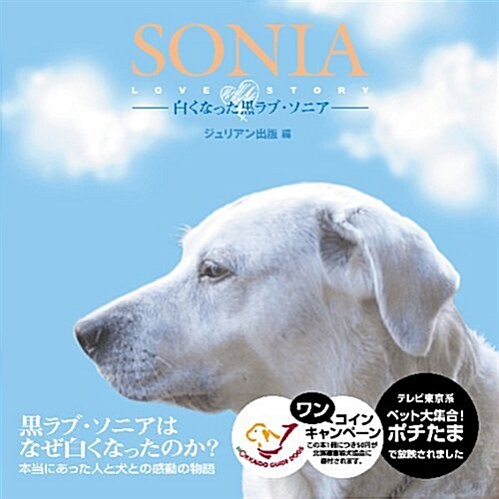 SONIA-白くなった黑ラブ·ソニア- (單行本)