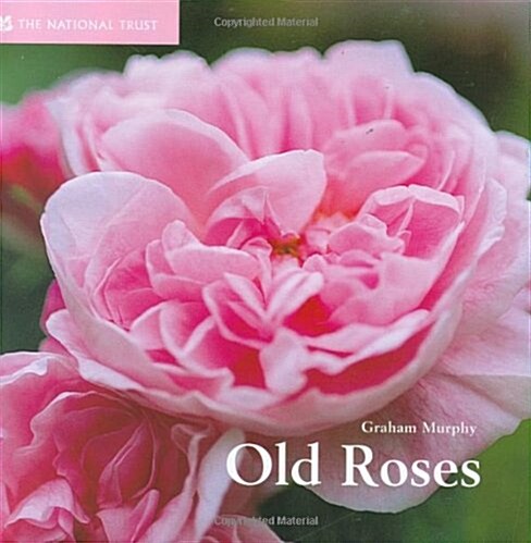 Old Roses (Hardcover)