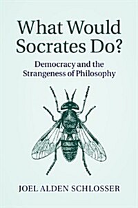 What Would Socrates Do? : Self-Examination, Civic Engagement, and the Politics of Philosophy (Hardcover)