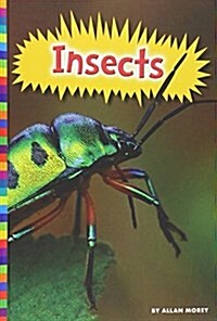 Insects (Library Binding)