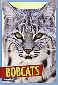 Bobcats (Library Binding)