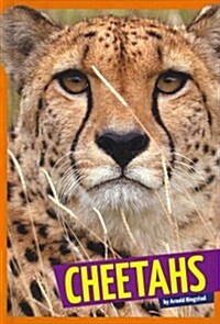 Cheetahs (Library Binding)