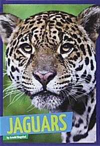 Jaguars (Library Binding)